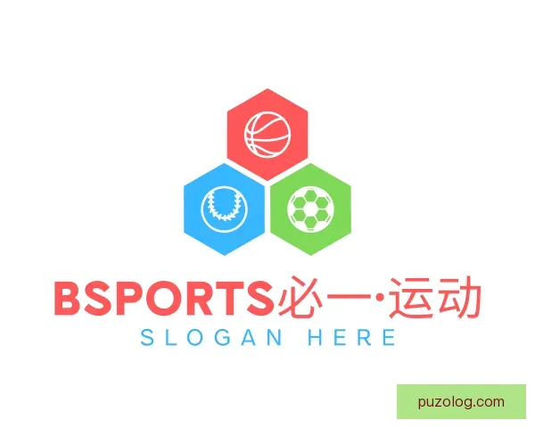 介绍bsport必一运动